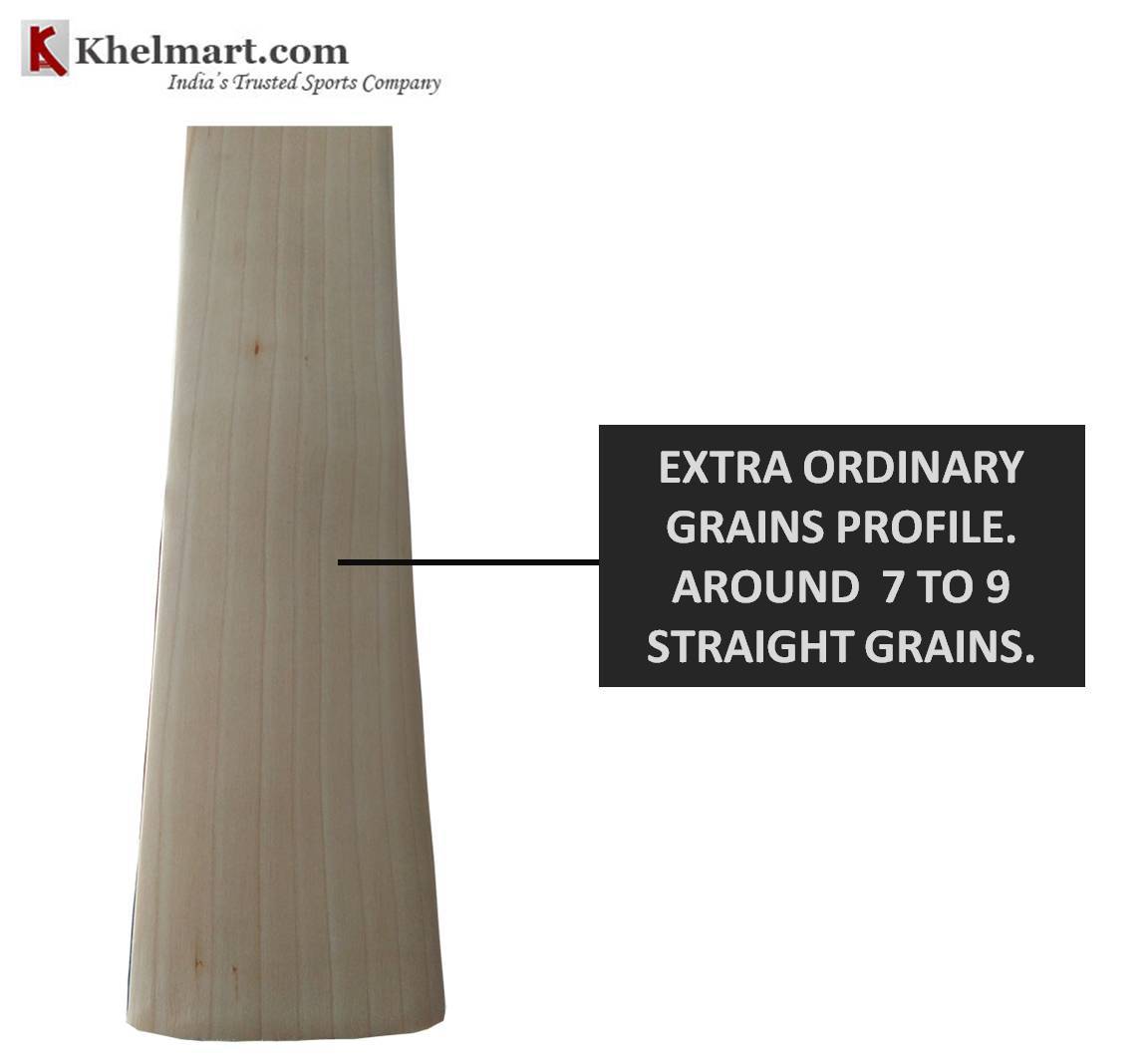 CUSTOM_BAT_GRAINS_PRPFILE_2.jpg