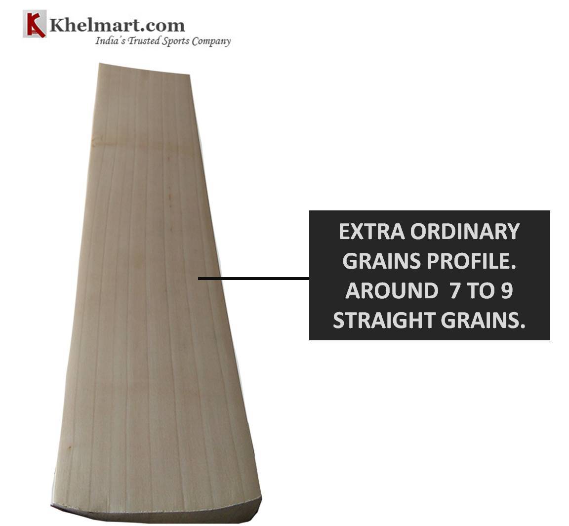CUSTOM_BAT_GRAINS_PRPFILE_T45.jpg
