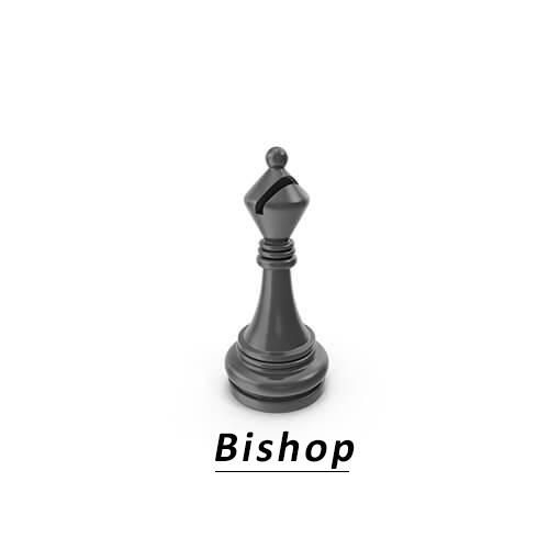 Chess_Bishop_Khelmart_2020_1