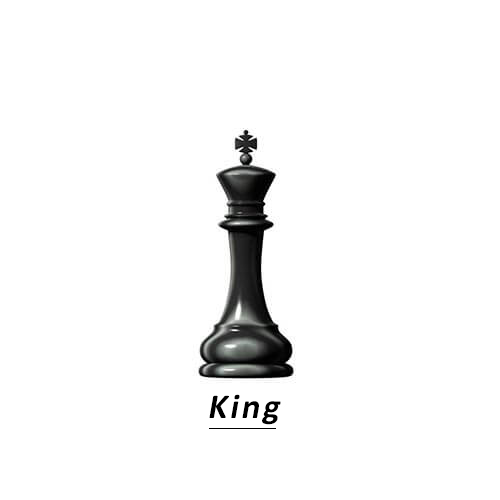 Chess_King_Khelmart_2020_1