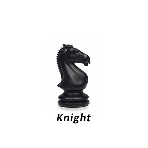 Chess_Knight_Khelmart_2020_1