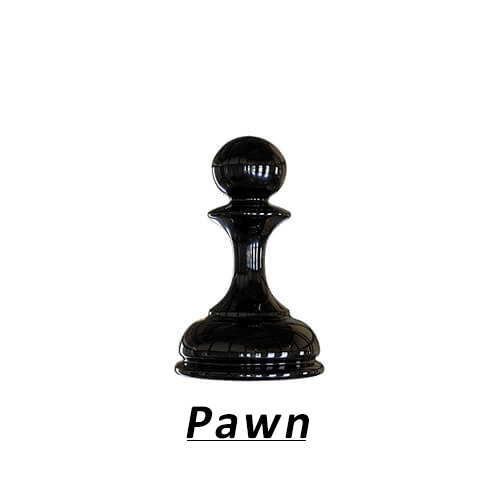 Chess_Pawn_Khelmart_2020_1