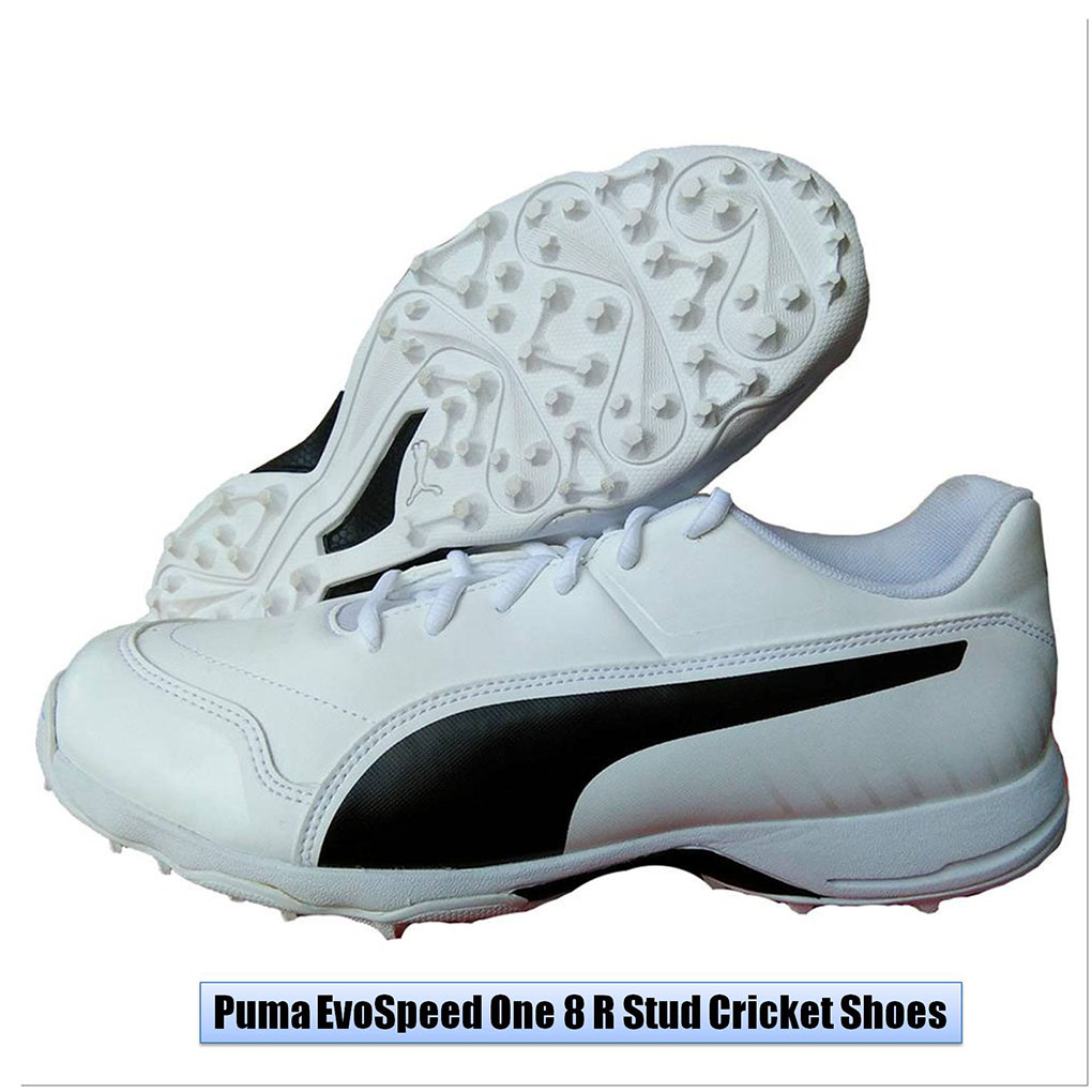 Puma_EvoSpeed_One_8_R_Stud_Cricket_Shoes_Image