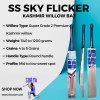 Best Kashmir Willow Cricket Bats in 2025